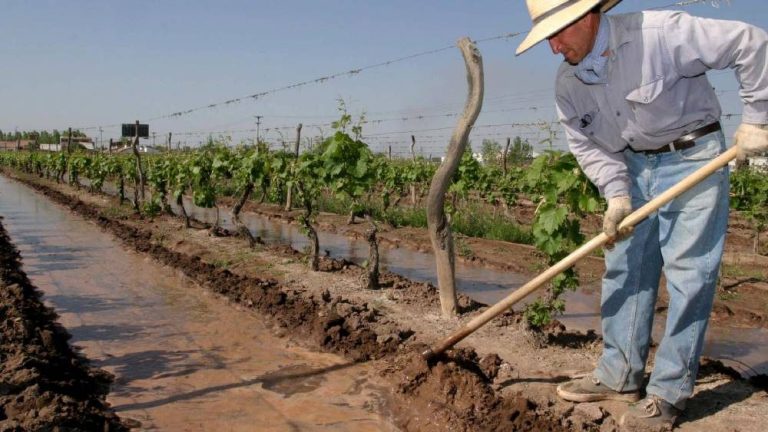 Se firmó el Acuerdo Paritario para los vitivinícolas